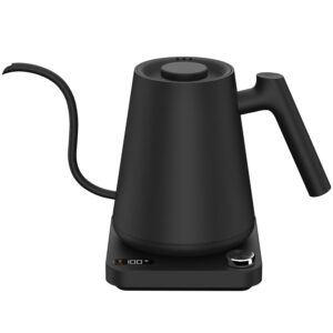 Tetera eléctrica 1 Litro con control de temperatura